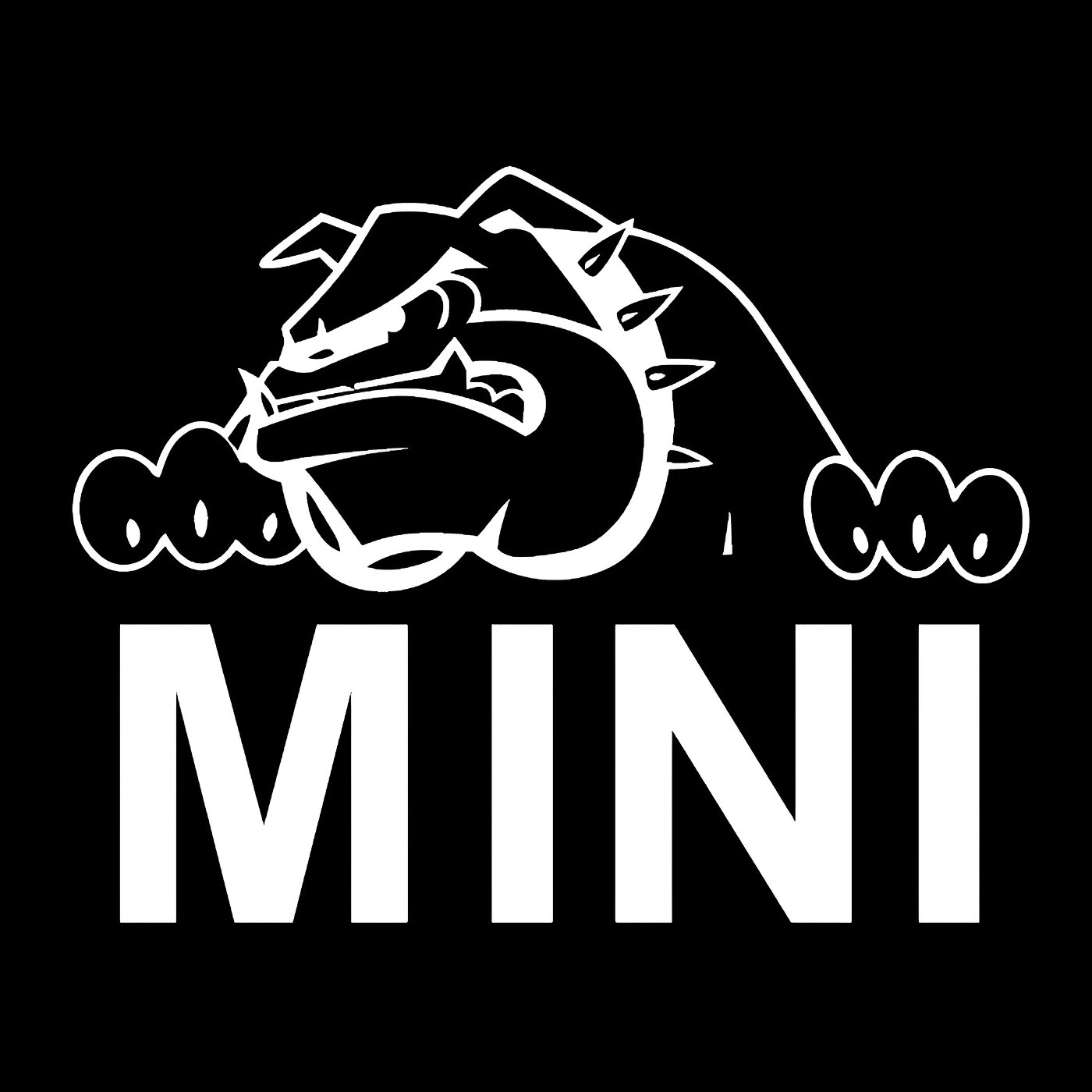 Mini Cooper 4th Gen Premium Door Puddle Lights Various Designs 2025-2026