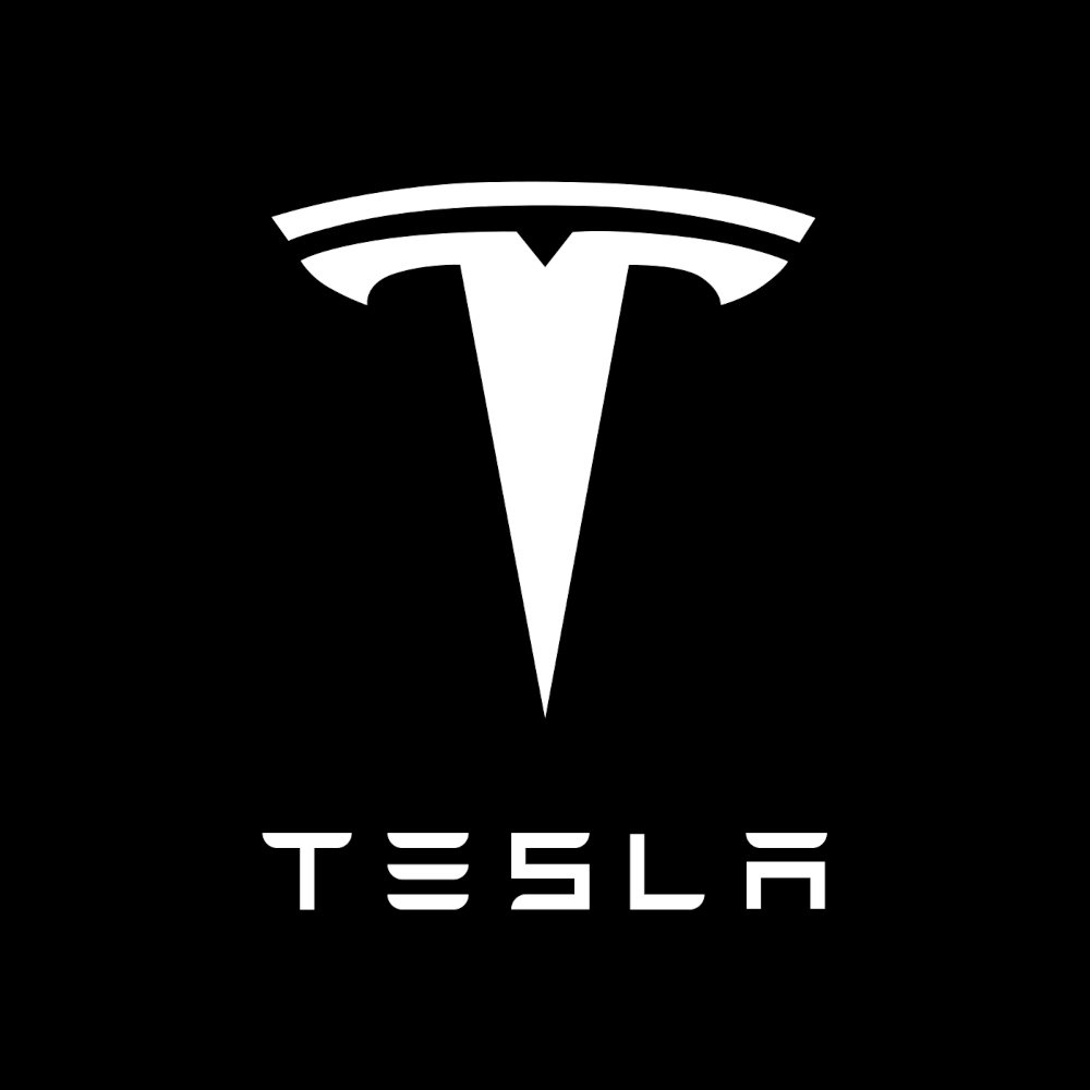 Tesla Model S Premium Door Puddle Lights Various Designs 2021-2026